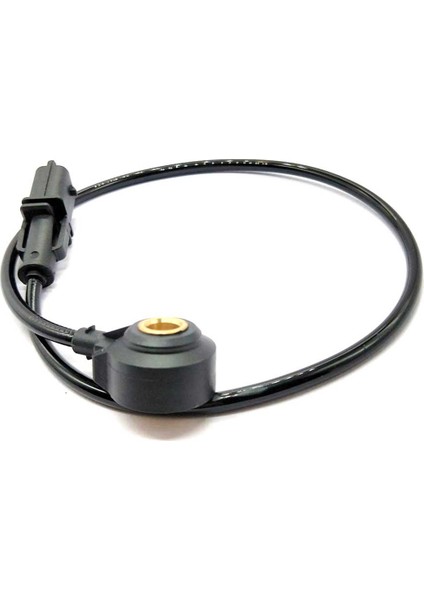 D-Ragon Seo Doo Gtx Için Patlama Knock Sensor 0261231155 4 H-Arley D-Avidson 0261 231 155 (Yurt Dışından) fiyatları