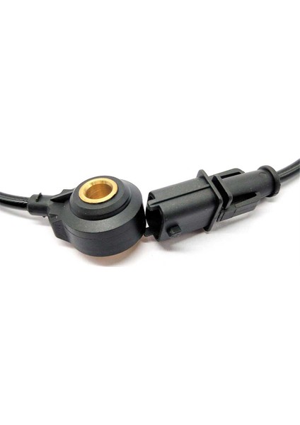 D-Ragon Seo Doo Gtx Için Patlama Knock Sensor 0261231155 4 H-Arley D-Avidson 0261 231 155 (Yurt Dışından) fırsatları