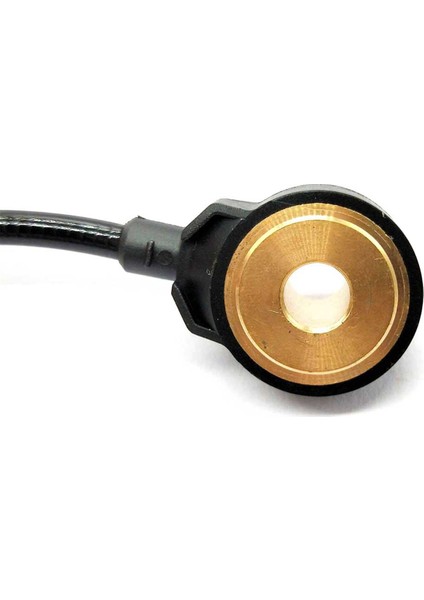 D-Ragon Seo Doo Gtx Için Patlama Knock Sensor 0261231155 4 H-Arley D-Avidson 0261 231 155 (Yurt Dışından) indirimleri