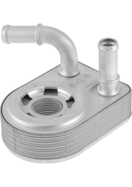 Yeni Yüksek Kaliteli Motor Yağı Soğutucu Yağ Radyatörü DS7G6B856AA DS7Z-6B856-A DS7G-6B856-AA 1801936 DS7Z6B856A Ford Için (Yurt Dışından) fiyatları