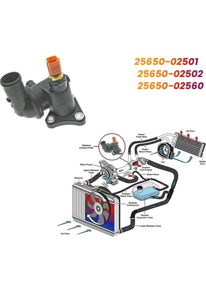 Termostat Muhafaza Soğutma Su Adaptörü 25650-02560 Kia Picanto Sa 04-10 Sabah Atoz Amica Friend 25650-02501 (Yurt Dışından) modelleri