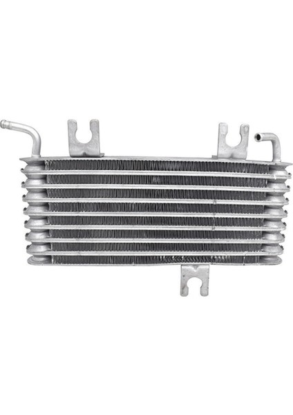 T/m Yağ Soğutucu Assy 21606-JD30D 21606-JD30A Nissan Qashqai J10, NJ10, J10E 1.6 2.0 2007-2013 21606-JD30B 21606JD30 (Yurt Dışından) fırsatları