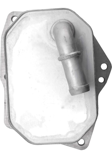 Motor Yağı Soğutucu Otomobil Alüminyum Radyatör 1746665 Ford Ranger T6 2.2l 3.2l Tdcı 2012-2021 (Yurt Dışından) modelleri