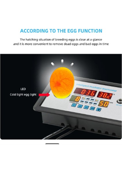 Akıllı Termostat Dijital ZFX-W9002 360 Otomatik Yumurta Çevirme 12V (Yurt Dışından) modelleri