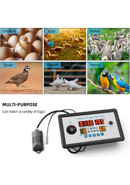 Akıllı Termostat Dijital ZFX-W9002 360 Otomatik Yumurta Çevirme 12V (Yurt Dışından) fırsatları