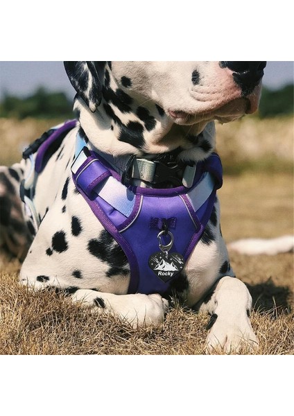 24 Paket Anodik Alüminyum Köpek Etiketleri Boşluklar Lazer Gravür Boşluklar Kalp Etiketleri Delikli Boşlukları Delik ile Damgalayan 1.25X1.06INCH (Yurt Dışından) modelleri