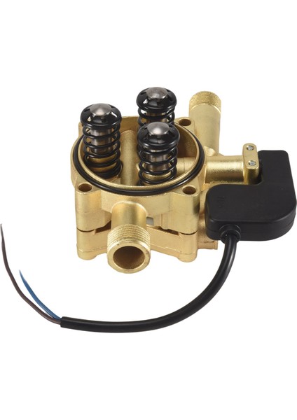 220V Hanehalkı Yüksek Basınçlı Pompa Yıkayıcı Temizleme Makinesi Taşınabilir Pompa Parçaları Araç Yüksek Basınçlı Yıkama Pompası Püskürtücü (Yurt Dışından)