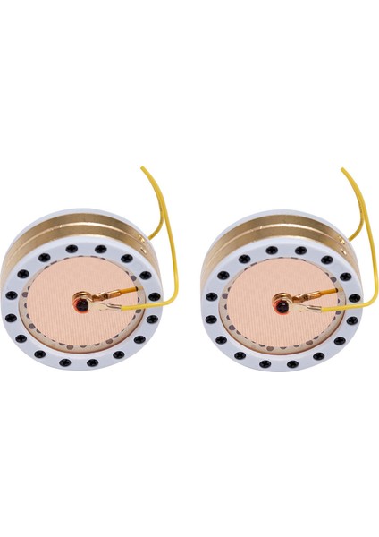Stüdyo Kayıt Kondenser Mikrofon Için 2x 34 mm Çaplı Mikrofon Büyük Diyafram Çekirdek Kapsül (Yurt Dışından)