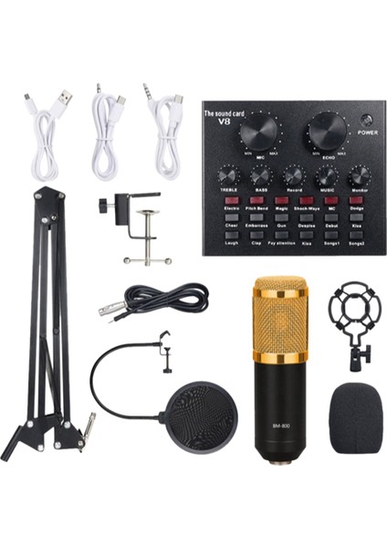 BM800 Mikrofon Seti Ses Kartı ile Bilgisayar Için Profesyonel Mikrofon Stüdyo Kondenser Mikrofon (Yurt Dışından)