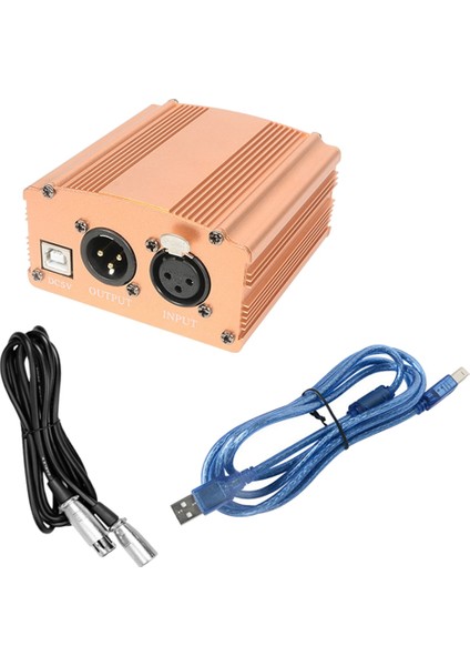 48V USB Phantom Güç Kaynağı Mikrofon Kablosu Kondenser Mikrofon Stüdyo Kayıt Kondenser Mikrofon Mikrofon, Altın (Yurt Dışından)