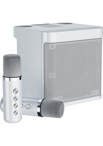 , 2 Kablosuz Mikrofonlu Taşınabilir Bluetooth Pa Sistemi, Aile Toplantısı, Toplantı, Piknik (Yurt Dışından)