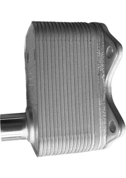 Motor Yağı Soğutucu 06J117021D EA888 Vw Jetta Passat Koltuğu Skoda Audi A4 A5 Q5 1.8 2.0 Yağ Radyatör Soğutucu 06J117021M (Yurt Dışından) fırsatları