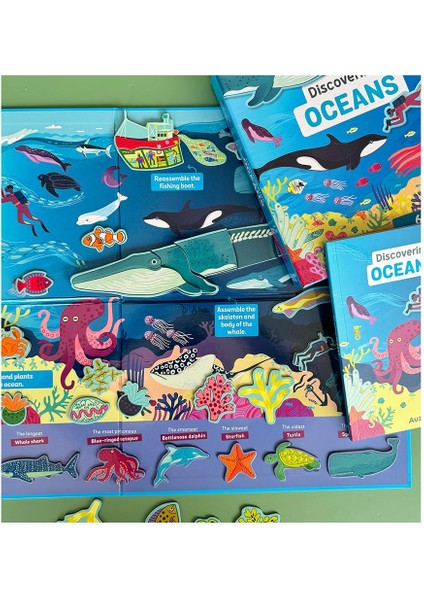 Discovering Oceans Magnetic Box Sets modelleri