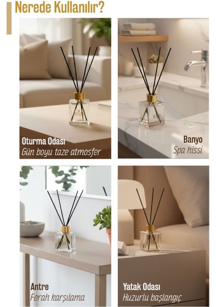 Dawn Bloom Mimoza Çubuklu Oda Kokusu 100 ml – Ferah ve Çiçeksi Uzun Süreli Koku Yayılımı indirimleri