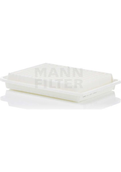 C30009 Hava Filtresi