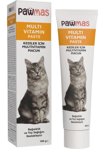 Multivitamin Kedi Macunu 100GR