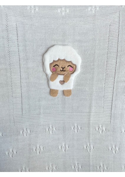 Kuzulu Triko Bebek Battaniyesi modelleri