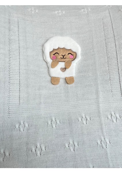 Kuzulu Triko Bebek Battaniyesi fırsatları