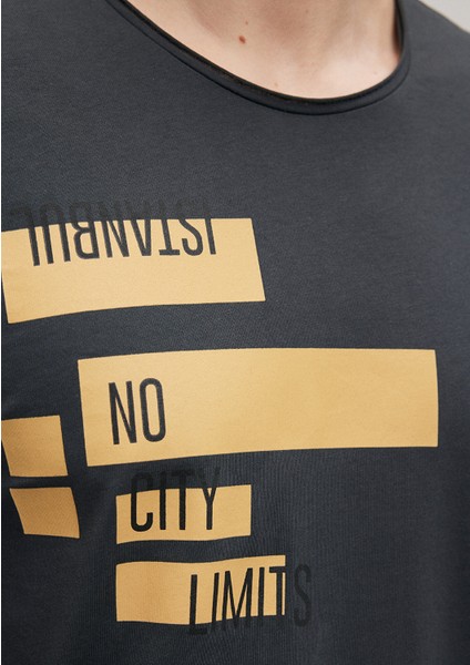 Baskılı Antrasit İstanbul Tişört 064759-24393