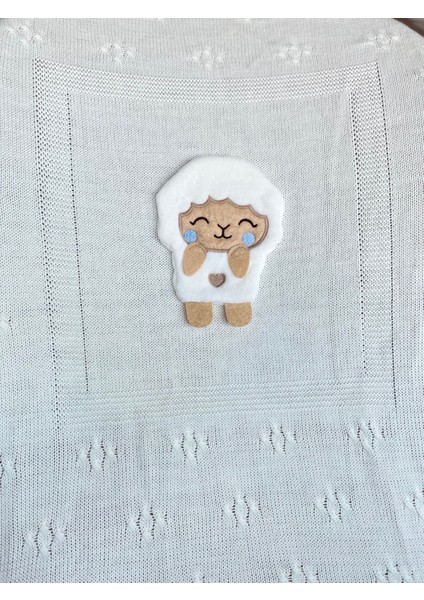 Kuzulu Triko Bebek Battaniyesi fırsatları