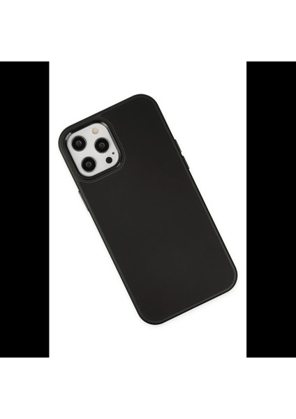 iPhone 12 Pro Max Kılıf Asya Deri Silikon modelleri