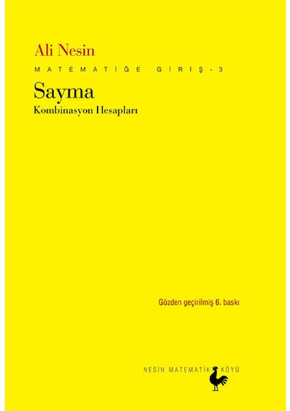 Matematiğe Giriş 3 : Sayma / Kombinasyon Hesapları