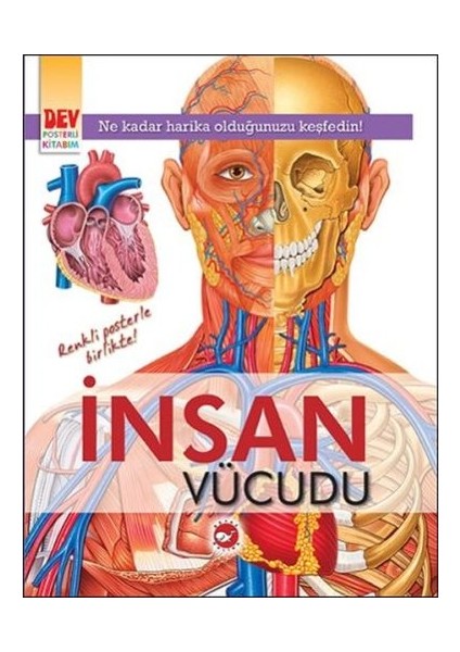 Dev Posterli Kitabım - Insan Vücudu