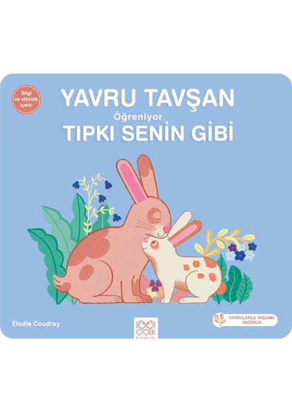 Yavru Tavşan Öğreniyor Tıpkı Senin Gibi