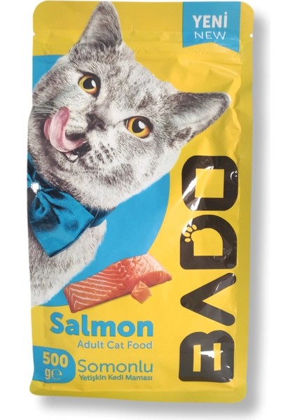 Kedi Maması Somonlu 500GR