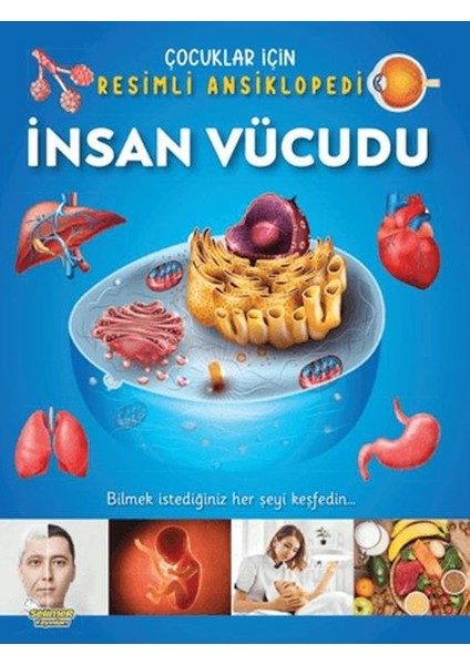 Insan Vücudu - Çocuklar Için Resimli Ansiklopedi