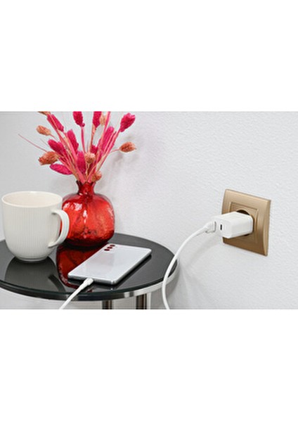 CTA-521 5.2.1A 10W USB Hızlı Şarj Ev Şarj Kafa