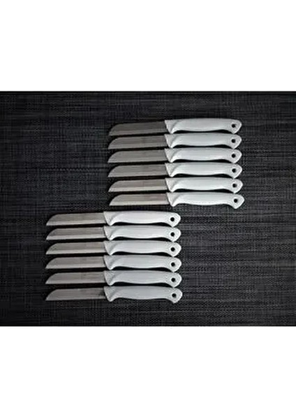 Gri Meyve Bıçağı Seti Paslanmaz Çelikten Üretilmiş 12 Adet 18 cm Uzunluk fiyatları