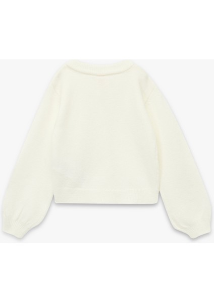 Uzun Kollu Düğme Detaylı Bisiklet Yaka Basic Triko Hırka fiyatları