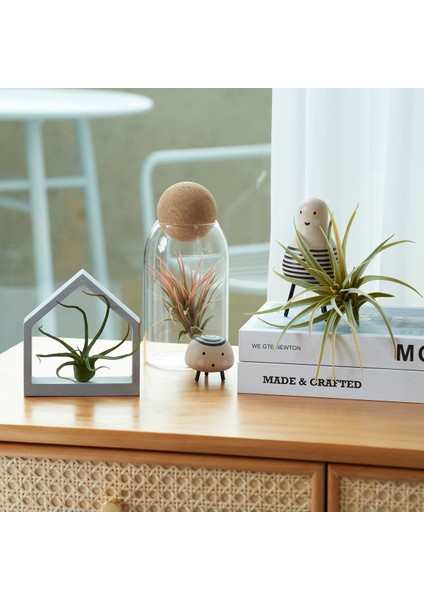 Yapay Bitki, Çok Renkli, 3 Adet, Hava Bitkisi modelleri