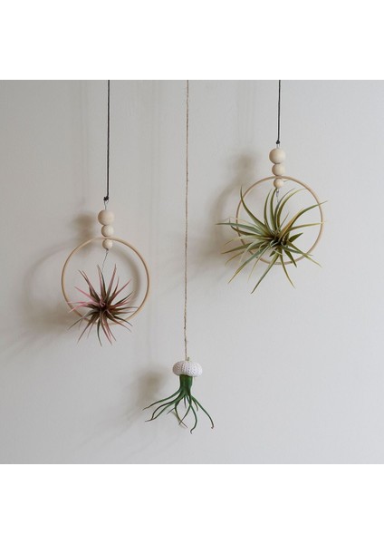 Yapay Bitki, Çok Renkli, 3 Adet, Hava Bitkisi fırsatları