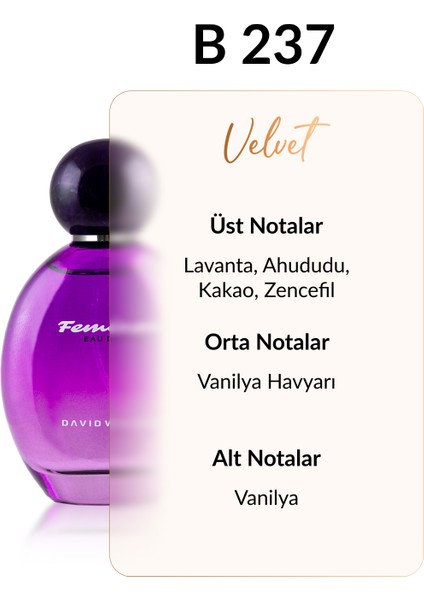 B237 Gold 100 ml Kadın Parfüm | Velvet fiyatları