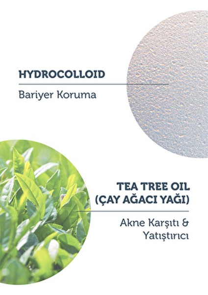 Hidrokolloid Yüz Bandı Akneli Ciltler İçin Akne Karşıtı 36 Adet Vegan