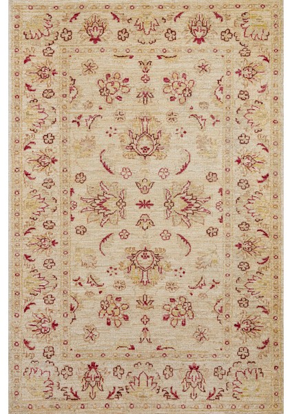 Krem Bordürlü Modern Etnik Desenli Halı | Makinada Yıkanabilir | Hav Toz Vermez | Leke Tutmayaz | Kaymaz Taban | Dijital Makine Baskı | Salon Yolluk Mutfak Halısı