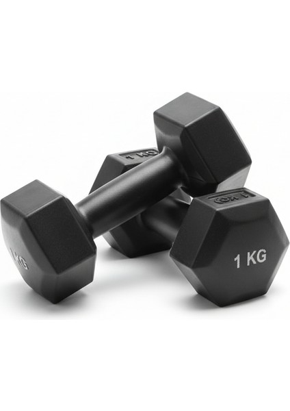 1 kg Çift/takım Plastik Dambıl Ağırlık Kilo ve Renk Seçenekli Dumbell Dımbell fiyatları