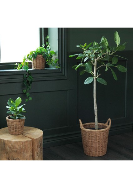 Rattan Saksı, Rattan, 24 cm fiyatları