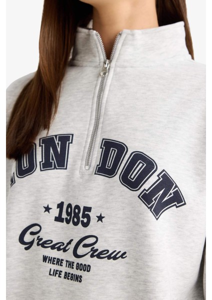 Overshirt Fit Yarım Fermuarlı Baskılı Kalın Kumaş Sweatshirt F9433AX25WN indirimleri