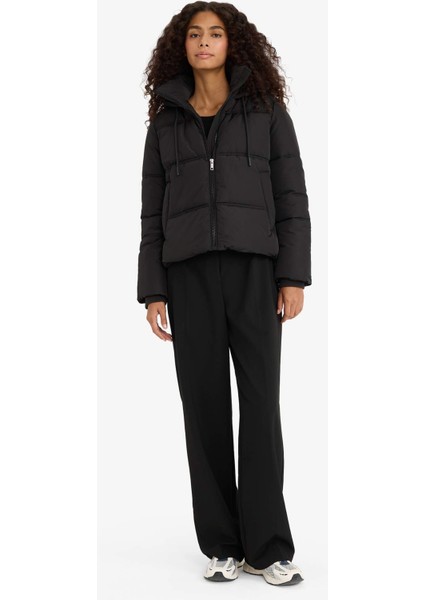 Regular Fit Kapüşonlu Fermuarlı Şişme Mont F1944AX25WN fiyatları