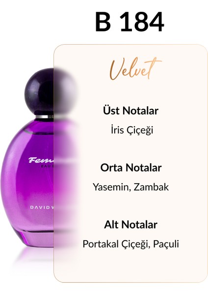 B184 Tragedi 100 ml Kadın Parfüm | Velvet fiyatları