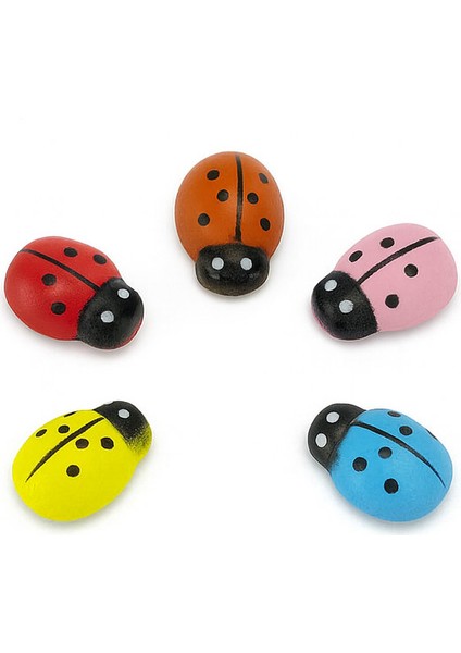 Uğur Böceği Yapışkanlı Karışık Renkli