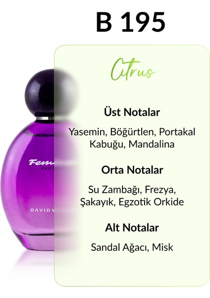 B195 Lili 100 ml Kadın Parfüm | Citrus fiyatları