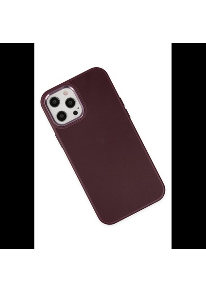 iPhone 12 Pro Max Kılıf Asya Deri Silikon modelleri