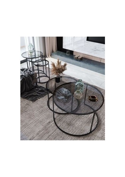 Milas Modern Orta ve Zigon Sehpa Seti Füme Cam ve Metal 5 Parça 80 cm fırsatları