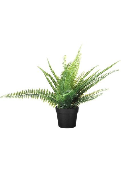 Yapay Bitki, Yeşil, 9 Cm, Eğreltiotu