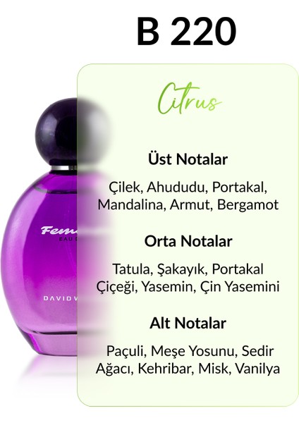 B220 Moonlight 100 ml Kadın Parfüm | Citrus fiyatları