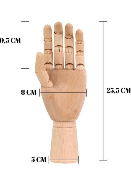 Eklemli Eskiz Mankeni 25 cm Sol El Mankeni: Sanatınızı Şekillendirin; fiyatları